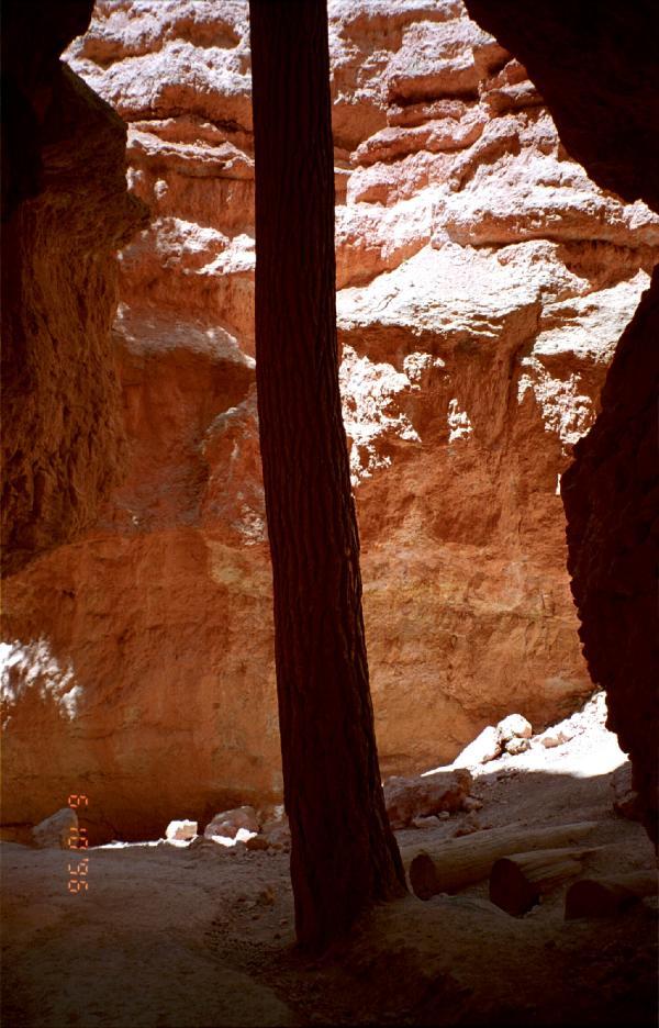 Bryce Canyon